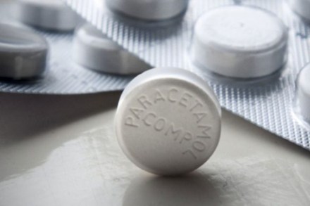 paracetamol