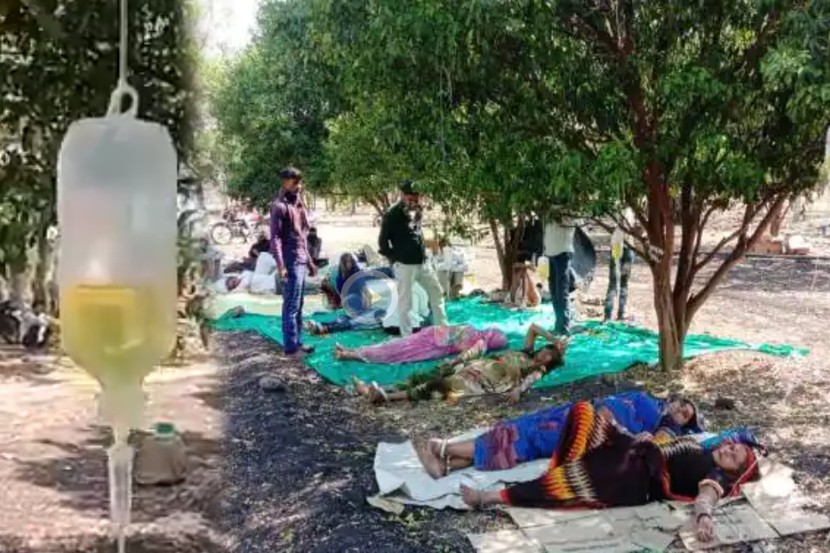 (फोटो स्क्रीनशॉर्ट)
