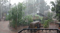 पालघरमध्ये पावसाची संततधार