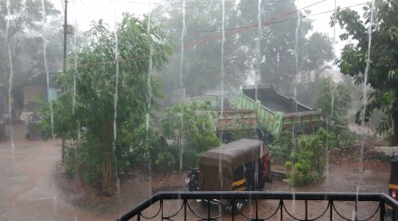 पालघरमध्ये पावसाची संततधार