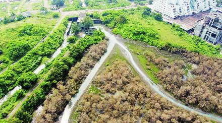 धारण तलाव गाळातच