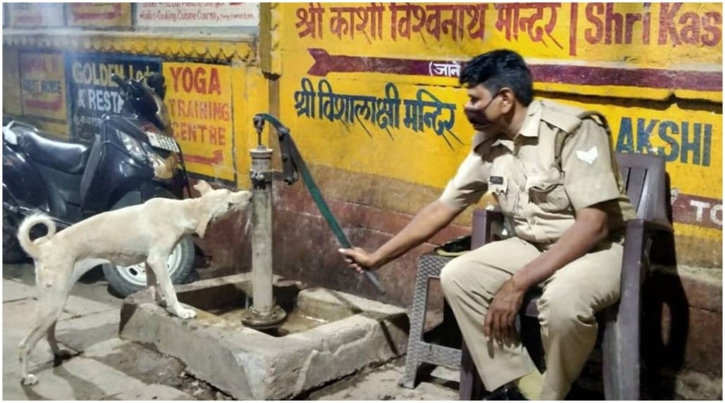 नाईट ड्युटीवरील पोलिसाने भागवली श्वानाची तहान; फोटो सोशल मीडियावर तुफान व्हायरल! नाईट ड्युटीवरील पोलिसाने भागवली श्वानाची तहान; फोटो सोशल मीडियावर तुफान व्हायरल!