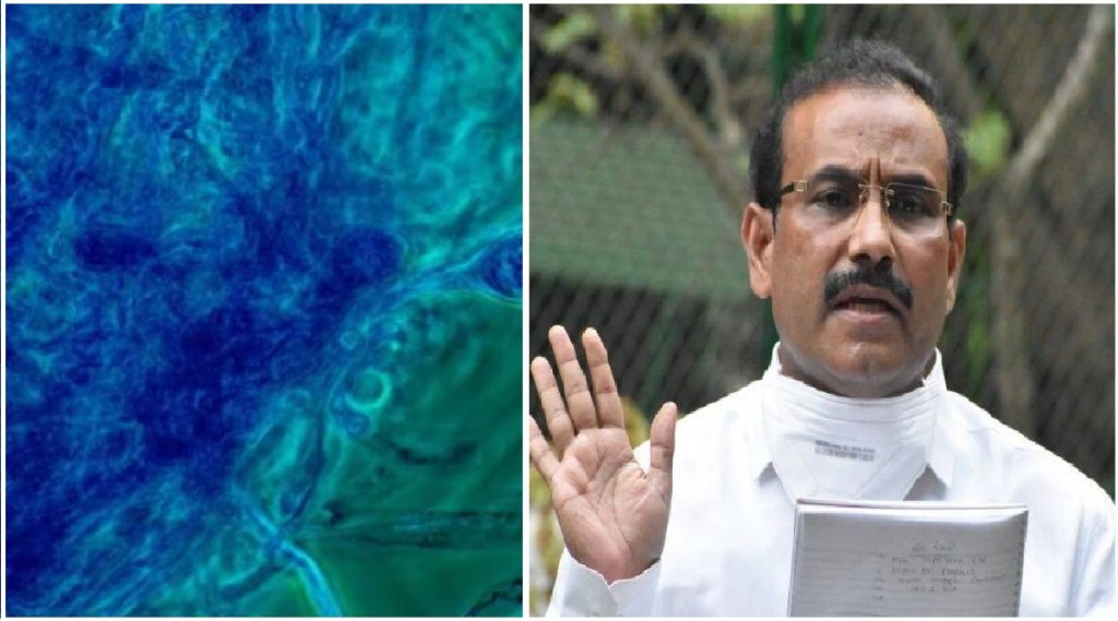 rajesh tope on mucormicosis cases in maharashtra