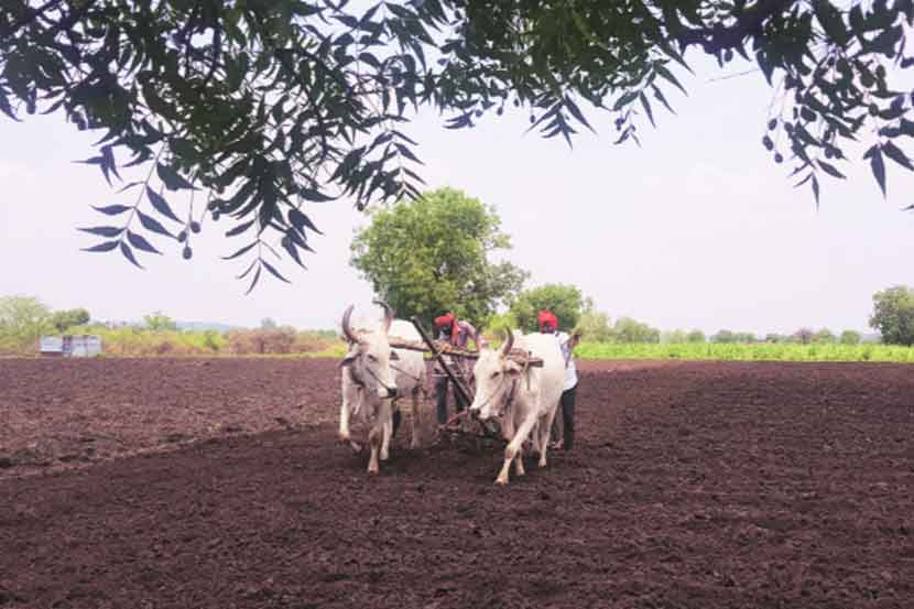शेतीचे पर्यावरण जपणे आवश्यक शेतीचे पर्यावरण जपणे आवश्यक