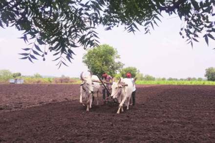 शेतीचे पर्यावरण जपणे आवश्यक