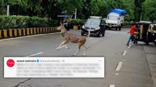 Anand Mahindra Twitter
