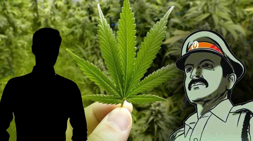 Kerala Excise Dept on the Lookout for People who Planted Cannabis Saplings on World Environment Day