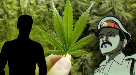 Kerala Excise Dept on the Lookout for People who Planted Cannabis Saplings on World Environment Day
