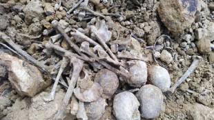 Police Find 3787 Bone Fragments at Mexico Serial Killer Suspect Home