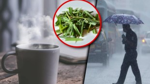 Monsoon Lemongrass Tea Benefits