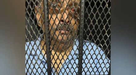 “मेहुल चोक्सीचं भारतात प्रत्यार्पण करावं लागेल”, डोमिनिका सरकारचा कोर्टात युक्तिवाद “मेहुल चोक्सीचं भारतात प्रत्यार्पण करावं लागेल”, डोमिनिका सरकारचा कोर्टात युक्तिवाद