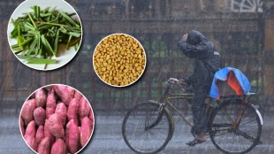 Monsoon Diet Eat Healthy Stay Healthy