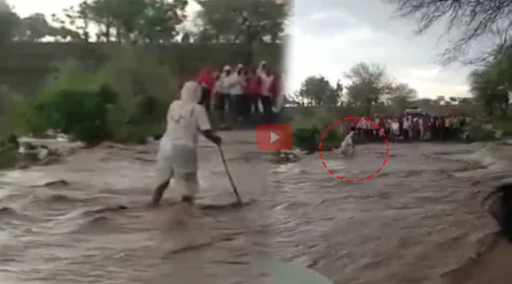 Viral Video Nanded, Viral Video, Nanded