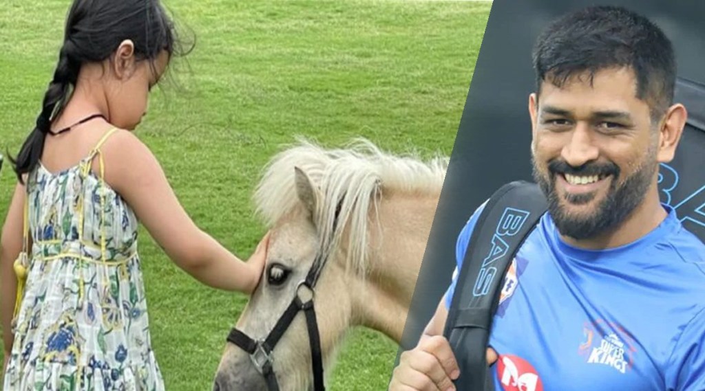 Mahendra singh dhoni bought a expensive horse from scotland Mahendra singh dhoni bought a expensive horse from scotland