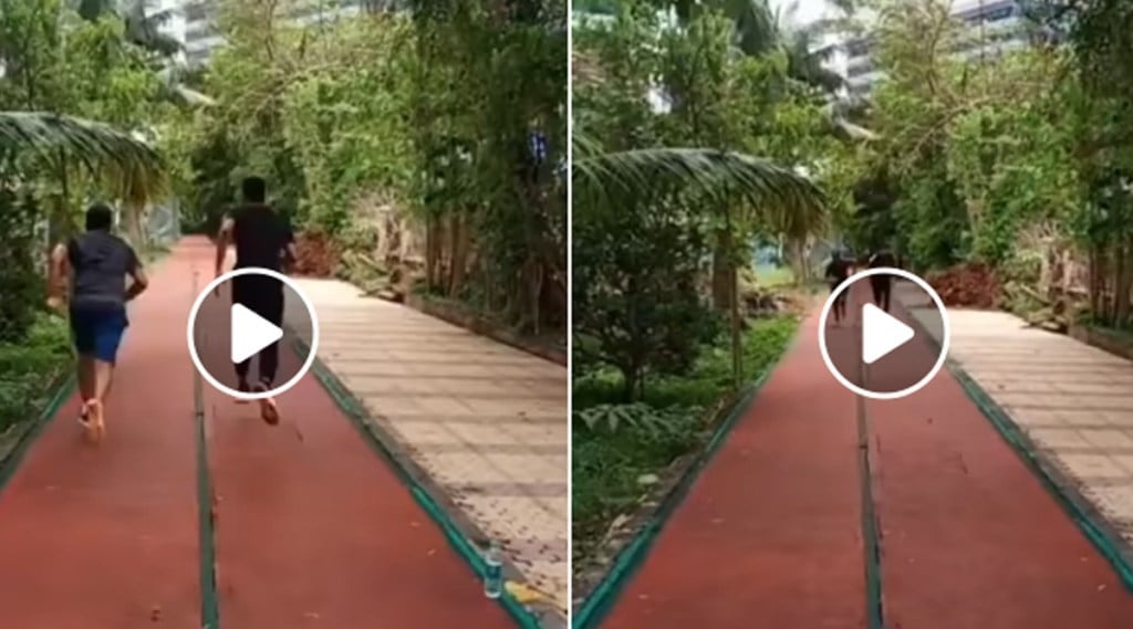 Prithvi Shaw and Shreyas Iyers training video goes viral