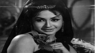 helen-salman-khan-mother
