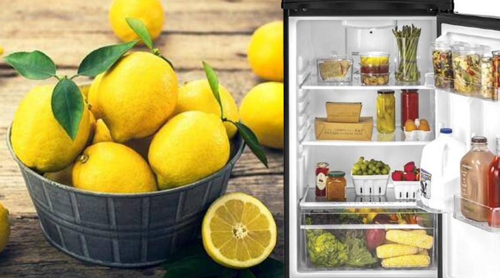 tips how to keep lemon fresh for long time is it safe to store in fridge tips how to keep lemon fresh for long time is it safe to store in fridge