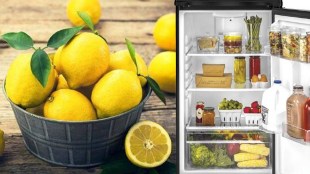 tips how to keep lemon fresh for long time is it safe to store in fridge