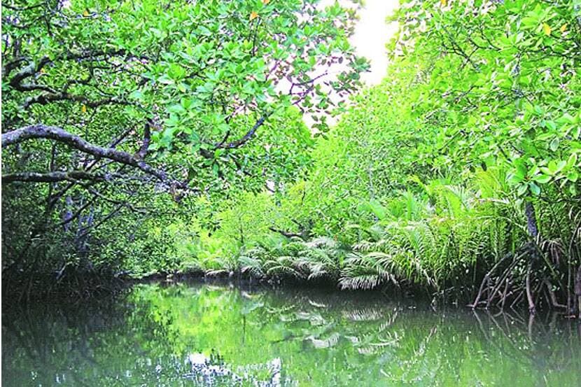ठाण्याच्या ‘किनारी मार्गा’त अडथळे