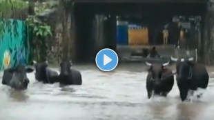 mumbai weather forecast, Mumbai rains updates