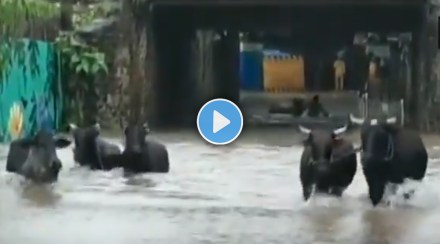 mumbai weather forecast, Mumbai rains updates