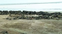 दिवादांडी ते दुबळपाडा किनाऱ्याची झीज