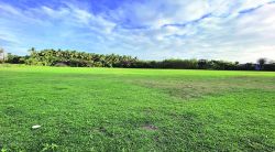 अल्याळी क्रीडांगणाच्या विकासकामांना हरकत