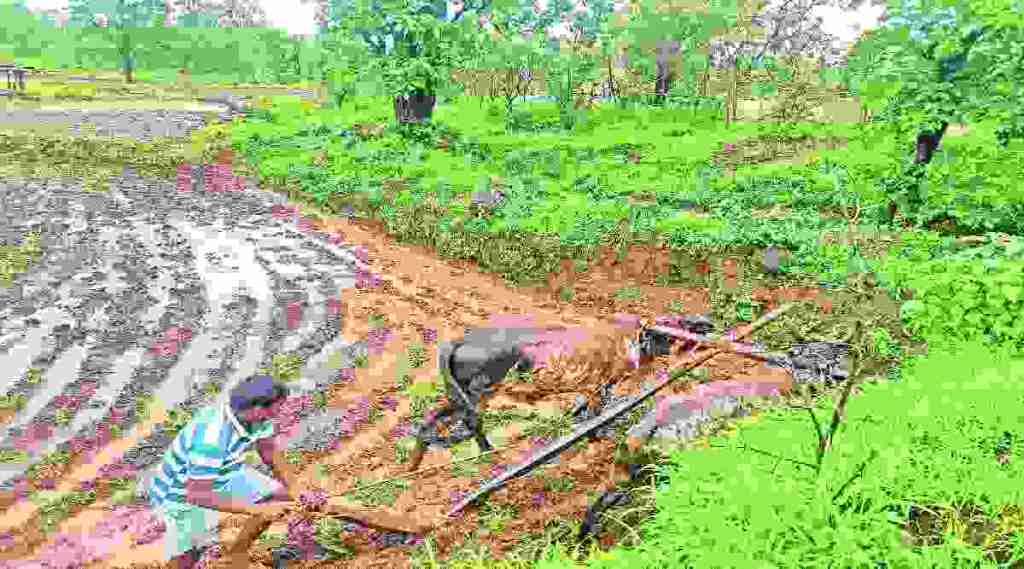 लोखंडी अवजारांच्या वाढत्या मागणीमुळे बलुतेदार अडचणीत
