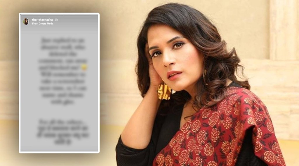 richa chadha replies to an abusive troll