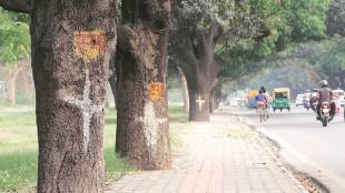 'Heritage Tree' concept to be implemented in the state