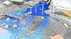 रसायनयुक्त पाण्याने तुंगारेश्वरचे क्षेत्र बाधित