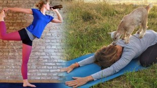 International Yoga Day 2021 Theme, International Yoga Day 2021 Date