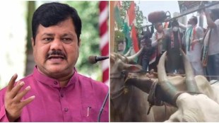 Praveen Darekar criticism on the Congress agitation