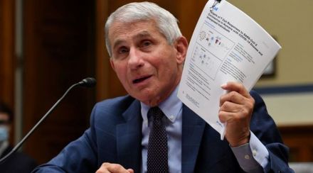 Covid 19, Dr Anthony Fauci, America, Dr Anthony Fauci