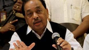 BJP MP Narayan Rane, Narayan Rane in Union Cabinet
