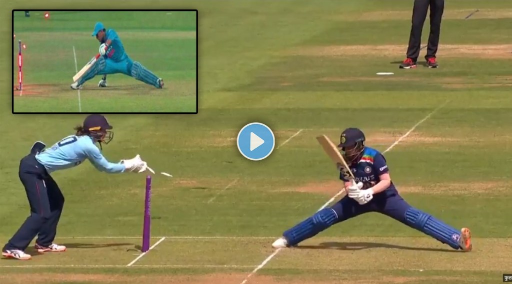 Shefali Varma Stumps
