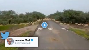 PM Modi shared video of thousands of Blackbucks See this awesome view gst 97