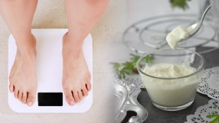 Lose your extra kilos by eating curd know these amazing benefits gst 97