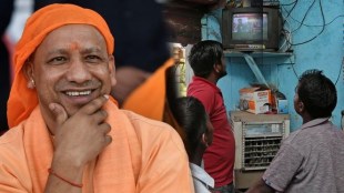 Yogi TV Advertising