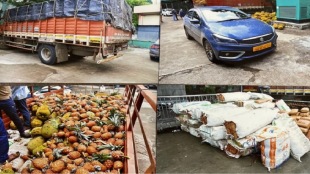 cannabis confiscated in pune