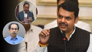 devendra fadnavis on narayan rane