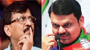 devendra fadnavis on sanjay raut