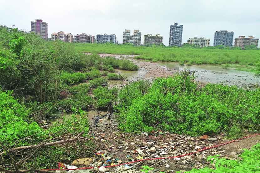खारफुटी संरक्षणासाठी सुरक्षारक्षकांची नेमणूक खारफुटी संरक्षणासाठी सुरक्षारक्षकांची नेमणूक