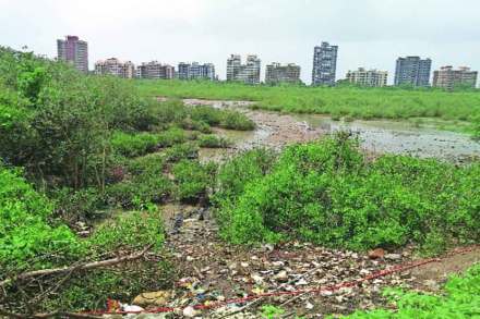 खारफुटी संरक्षणासाठी सुरक्षारक्षकांची नेमणूक खारफुटी संरक्षणासाठी सुरक्षारक्षकांची नेमणूक