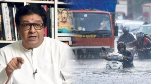 raj thackeray, mns, amey khopkar, bollywood celebrities,