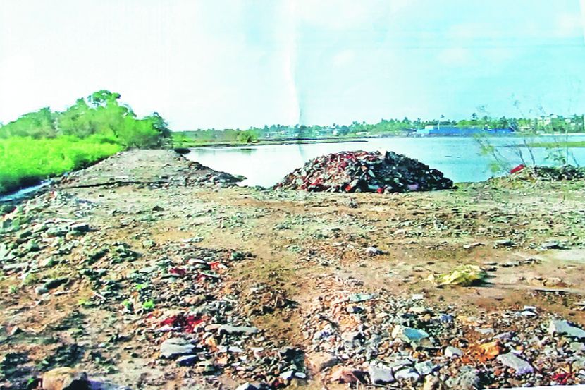 पाणथळ जमिनींचे अस्तित्व धोक्यात