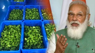 nagaland mirchi Bhut Jolokia