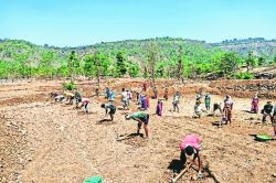 करोनामुळे ‘रोजगार हमी’ संकटात
