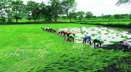 शेतकऱ्यांना बाजारभाव मिळवून देणारे उत्पादन घेण्यास प्राधान्य!
