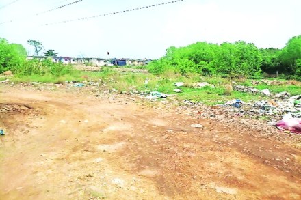 मुंब्रा, दिव्यात कांदळवनावर घाला